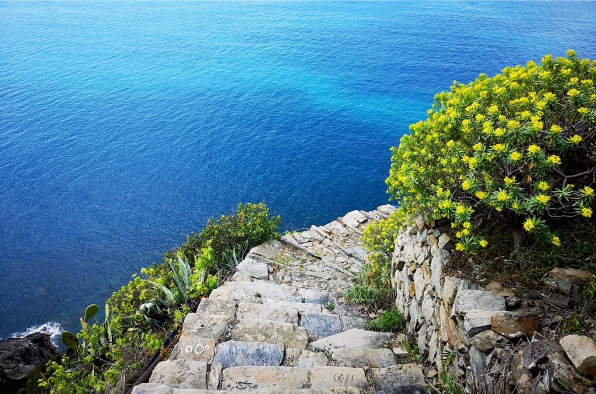 Monesteroli